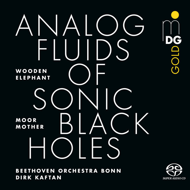 Cover art for album Analog Fluids of Sonic Black Holes by Moor Mother, Wooden Elephant, Beethoven Orchester Bonn, Dirk Kaftan, Ian Anderson