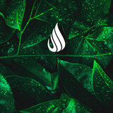 Aqueous