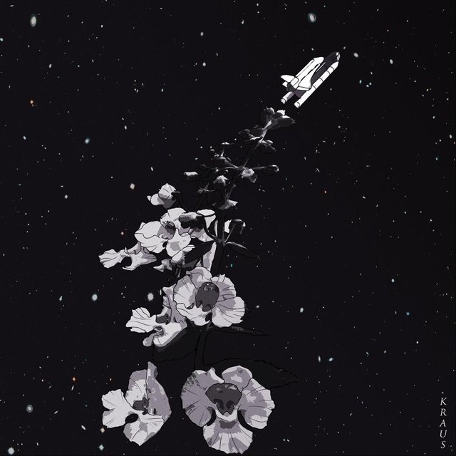 Phaneron