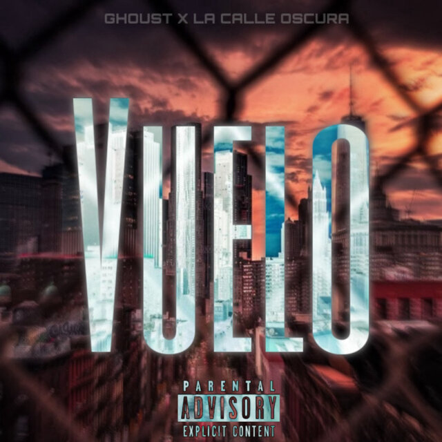 Vuelo