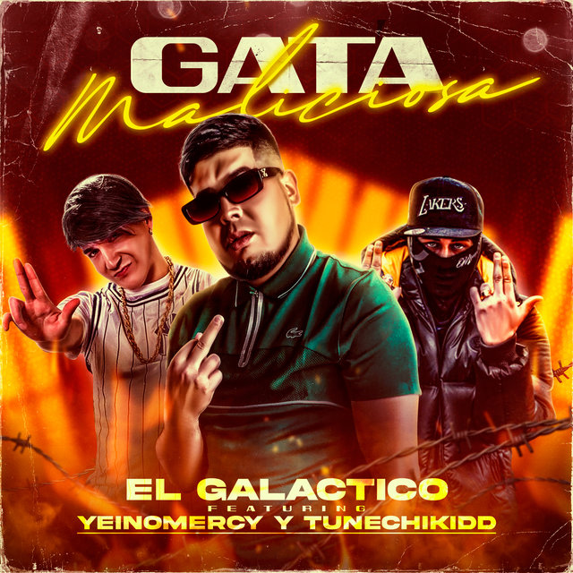Gata maliciosa