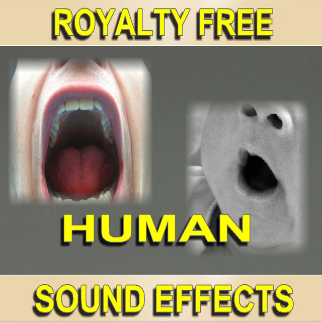 Human Sound Effects 122 by Sound Effect Kings on TIDAL