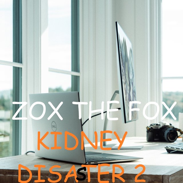Kidney Disaster 2