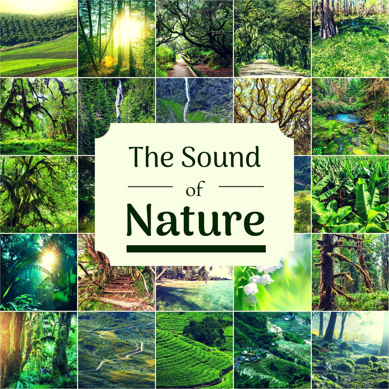TAHI　3x2 nature sound Nature Sound 29 - QUIET FOREST / THE MOST RELAXING SOUNDS - - YouTube