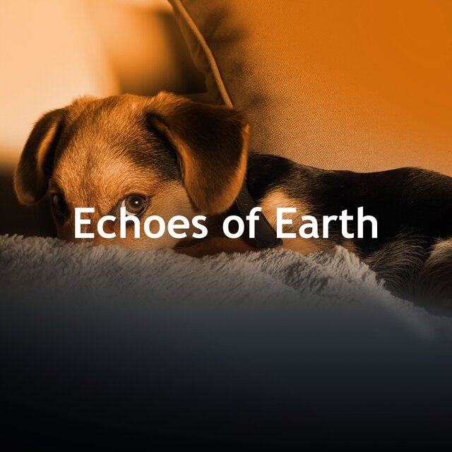 Echoes of Earth