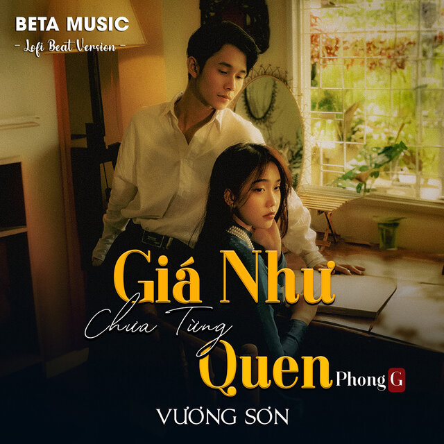 Giá Như Chưa Từng Quen (Lofi Beat)