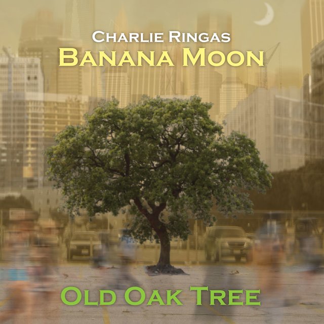 Old Oak Tree