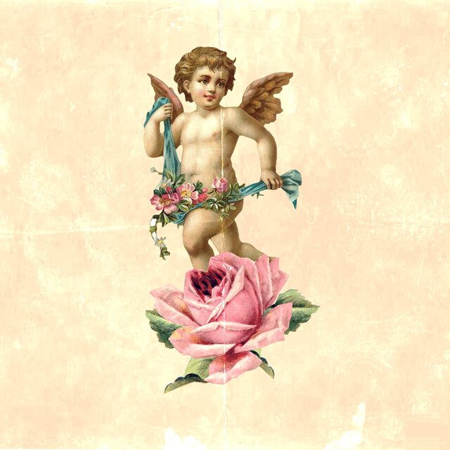 New Cupid