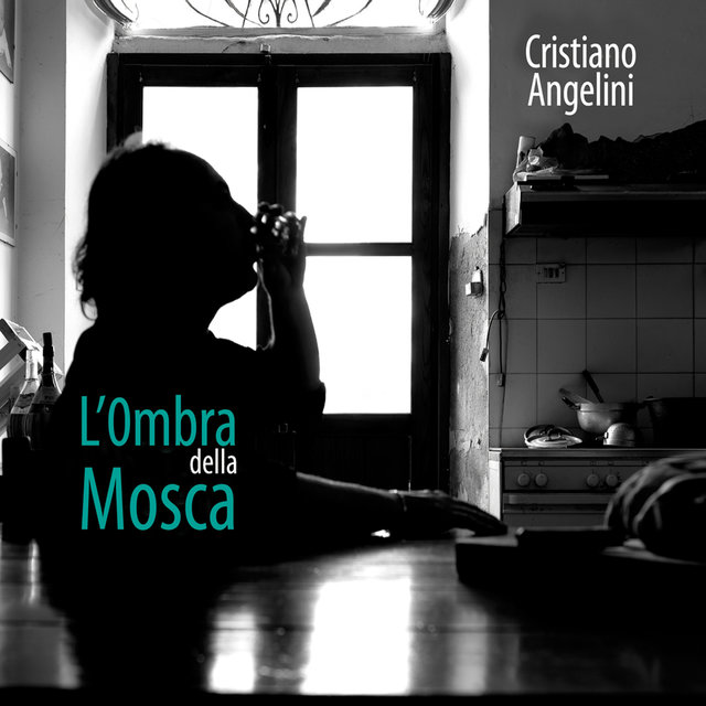 L'ombra della mosca