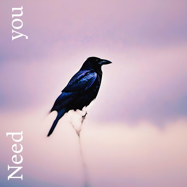 Need you