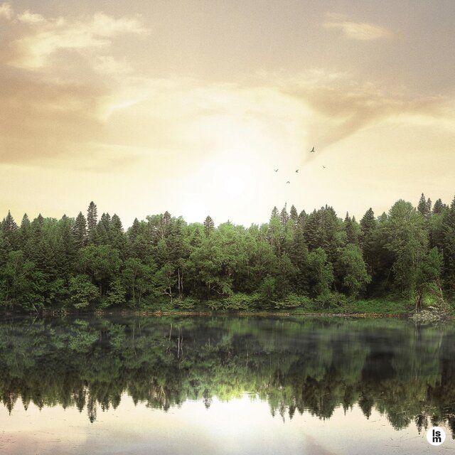 At the lake in the quiet and calm afternoon [A heart like a calm lake]