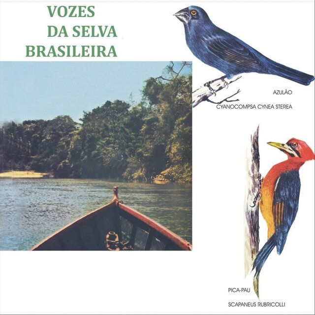 Vozes da Selva Brasileira