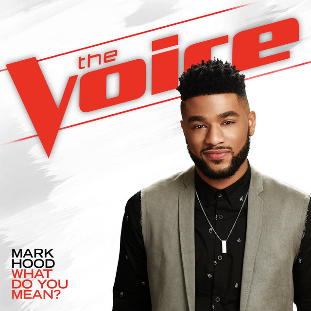What Do You Mean? (The Voice Performance)