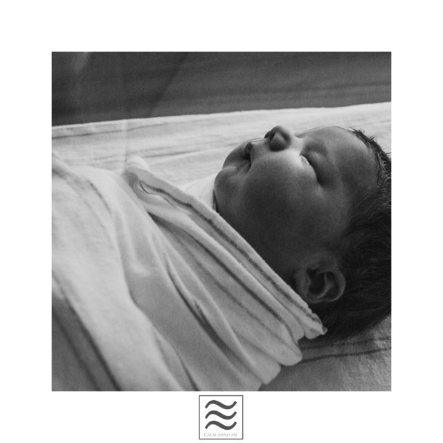 Restful Calming Noisy Shushers for Babies