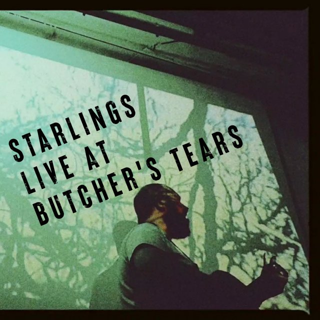 Starlings: Live At Butcher's Tears