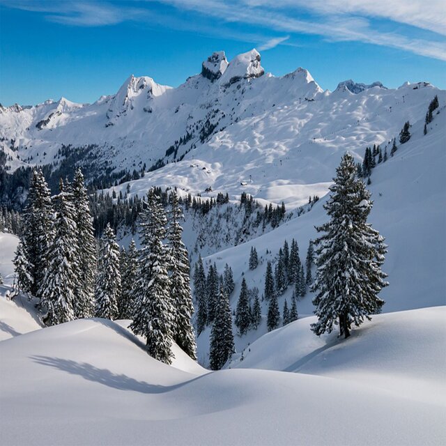 Winter Journey 2