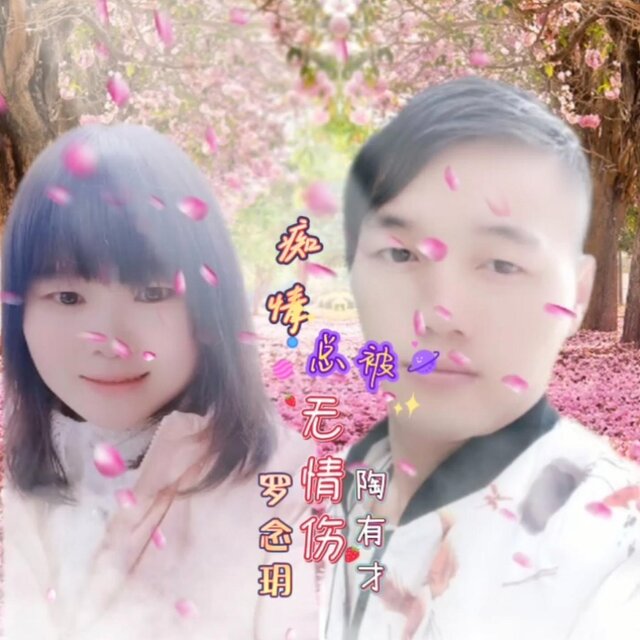 痴情總被無情傷