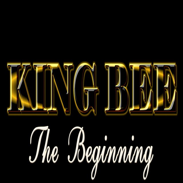 The Beginning