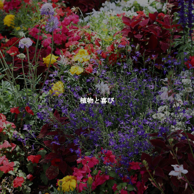 植物と喜び