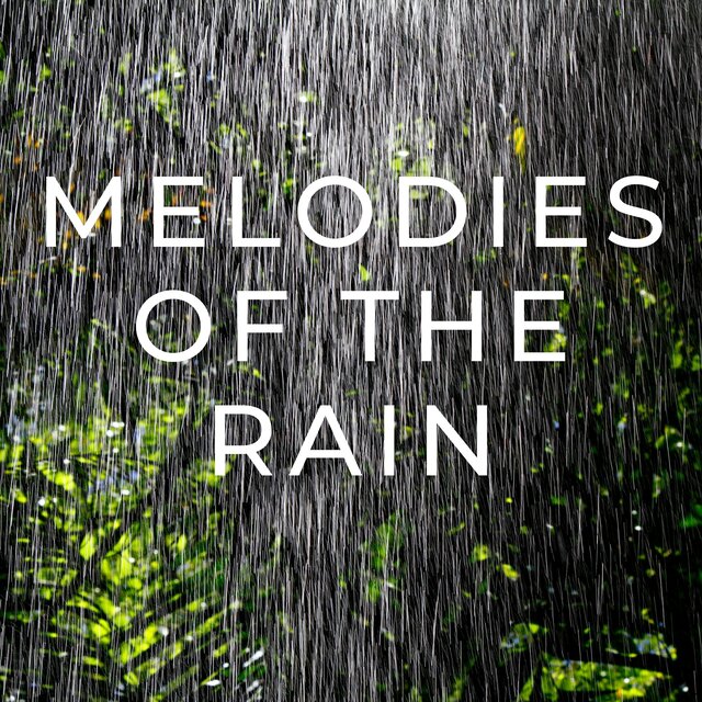 Melodies of the Rain
