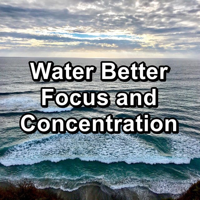 Water Better Focus and Concentration