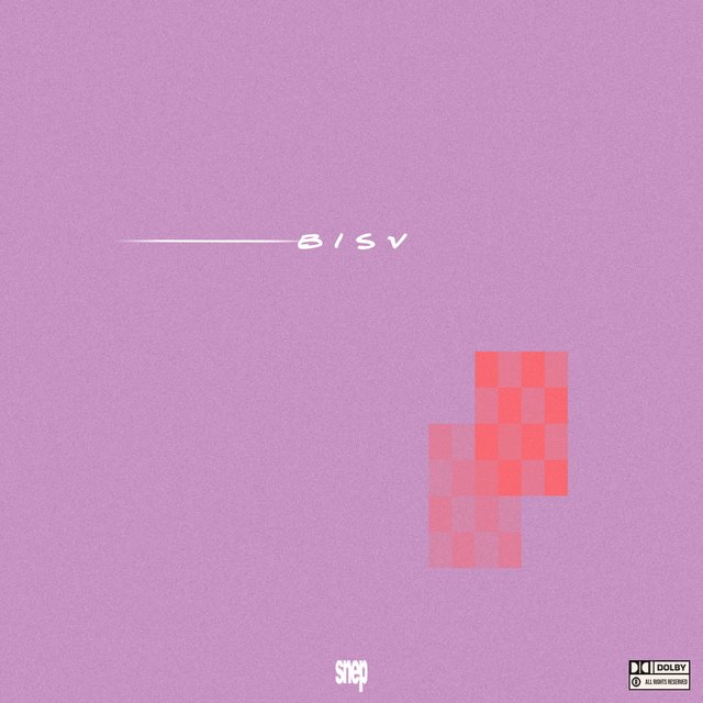 B I S V