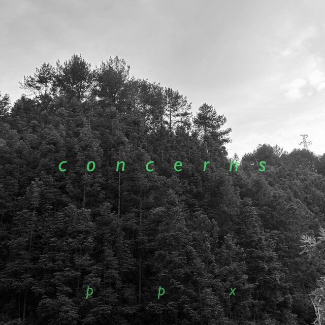 Concerns
