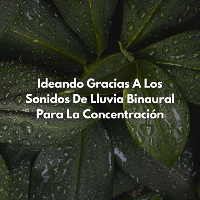 Ideando Gracias A Los Sonidos De Lluvia Binaural Para La Concentración