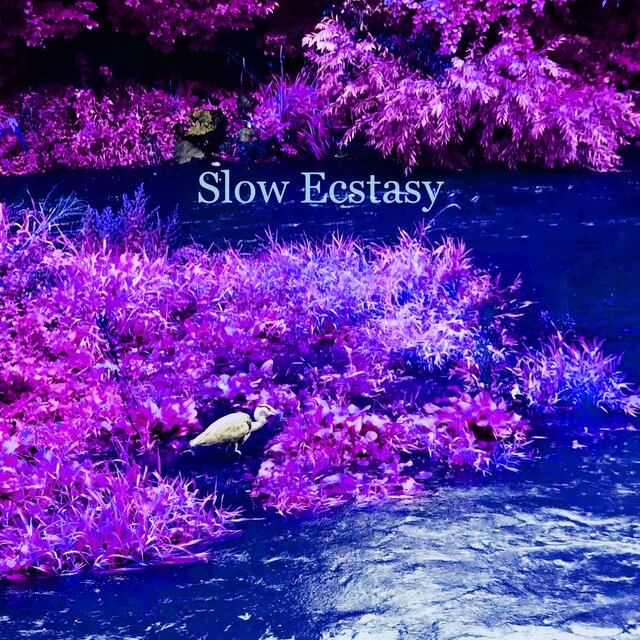 Slow Ecstasy