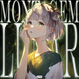 MONTAGEM LUNAR