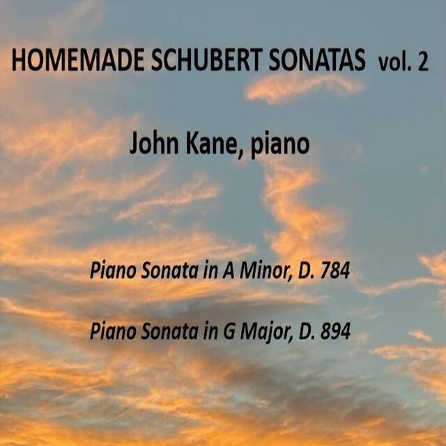 Homemade Schubert Sonatas, Vol. 2