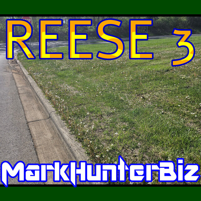 Reese 3