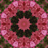 Good Morning Meditation (6hz, 8hz,10hz Binaural Beats for Brainwave Entrainment & Relaxation)