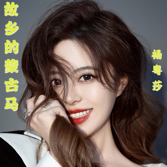 故乡的蒙古马