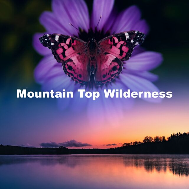 Mountain Top Wilderness
