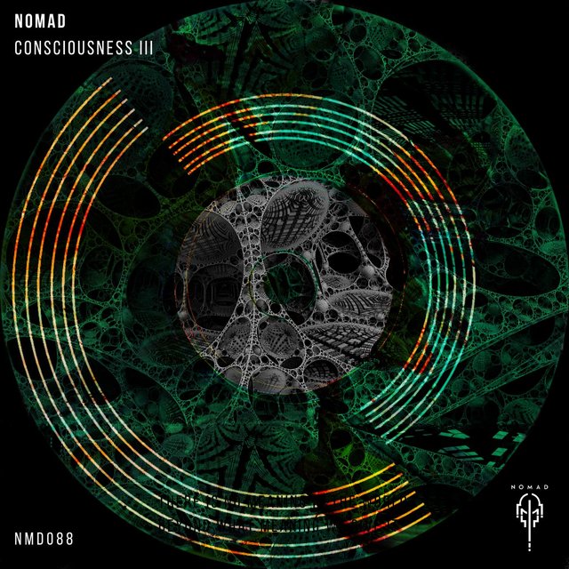 Consciousness III