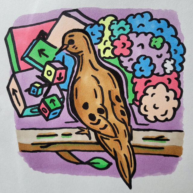 Mourning Dove