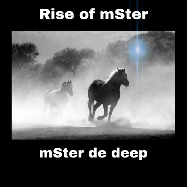 Rise of mSter