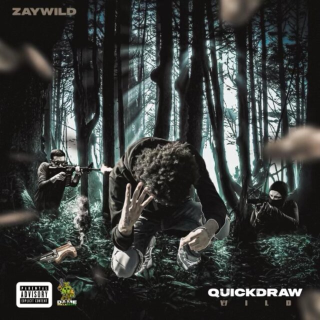 Quickdraw Wild