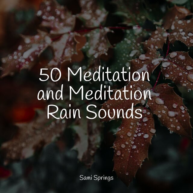 50 Meditation and Meditation Rain Sounds