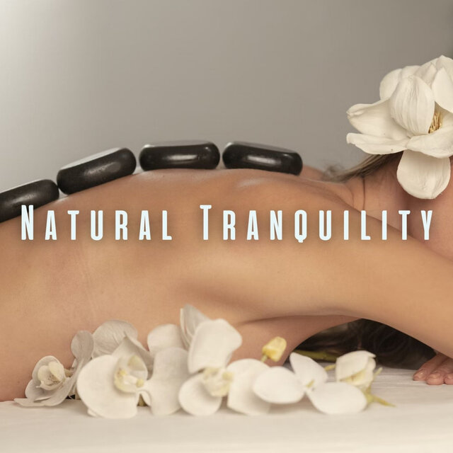 Natural Tranquility: Ambient Sounds for Spa Bliss