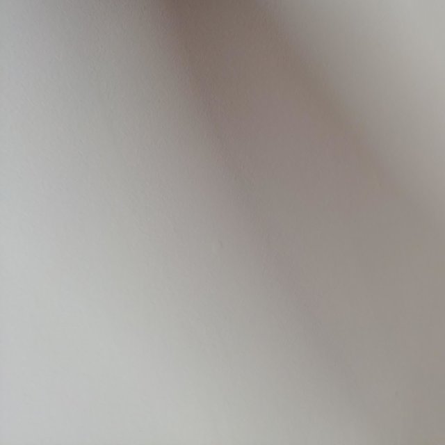 Momentum