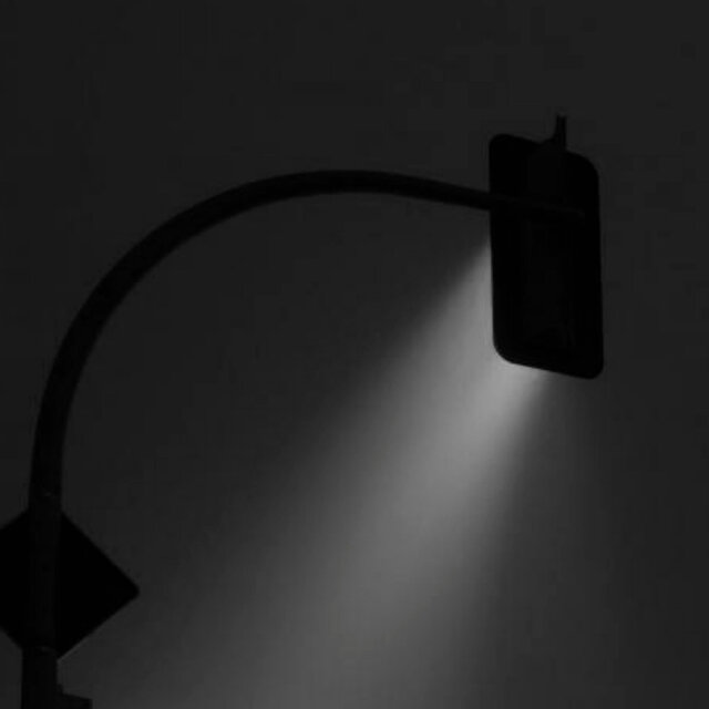 the light