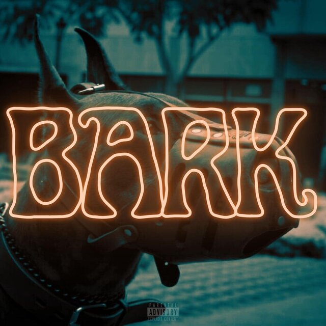 BARK (feat. JITTA ON THE TRACK)