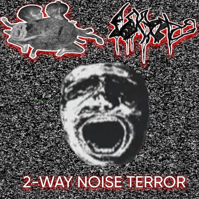 2-Way Noise Terror (Horrific Birth/VxCxBxGx)