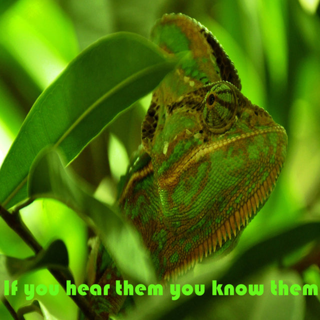 If You Hear Them You Know Them