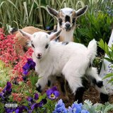 (eyezon)!* (feat. Trickk)