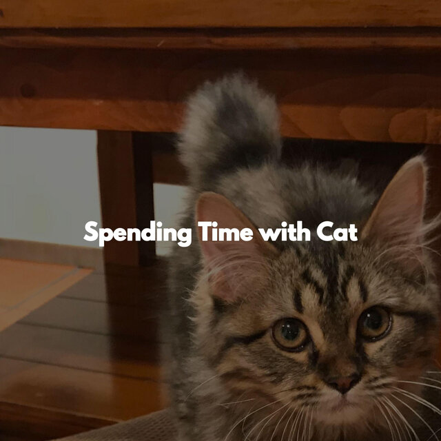 Spending Time with Cat