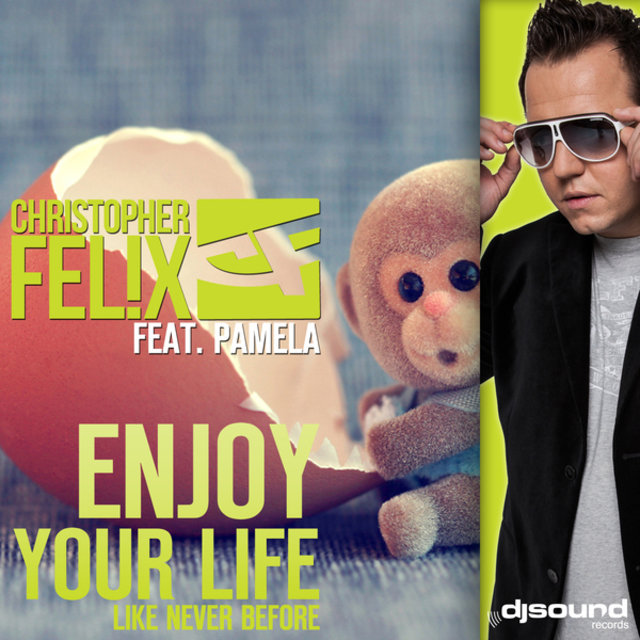 Enjoy Your Life Mixes