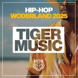 Indie Funk (Original Mix)